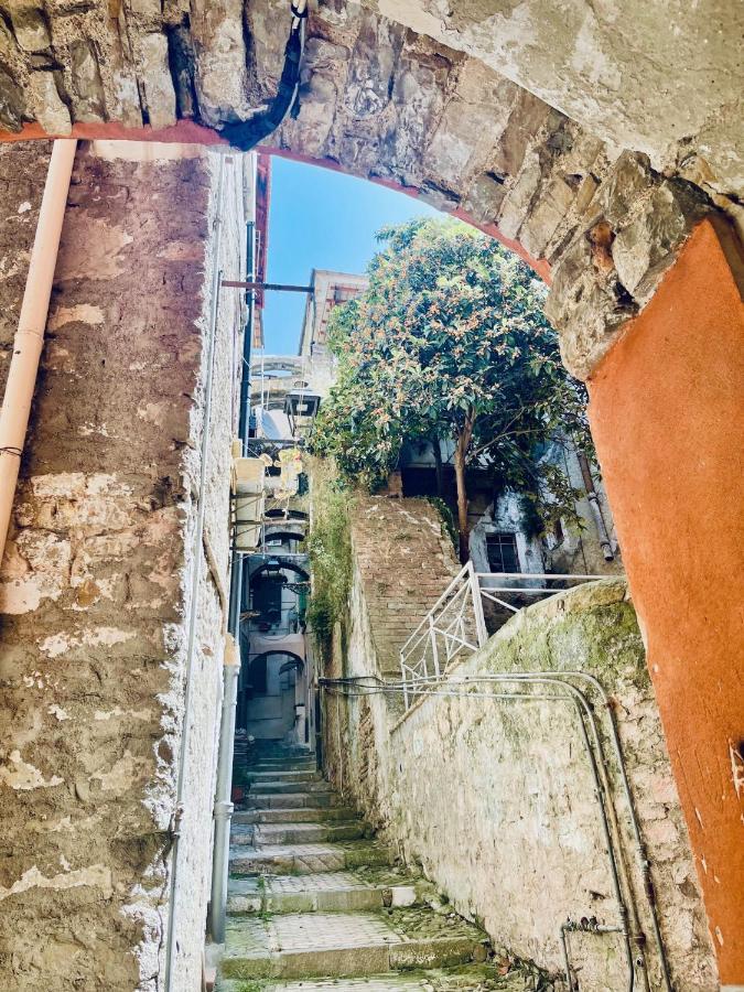 Pigna Tommy House Apartment