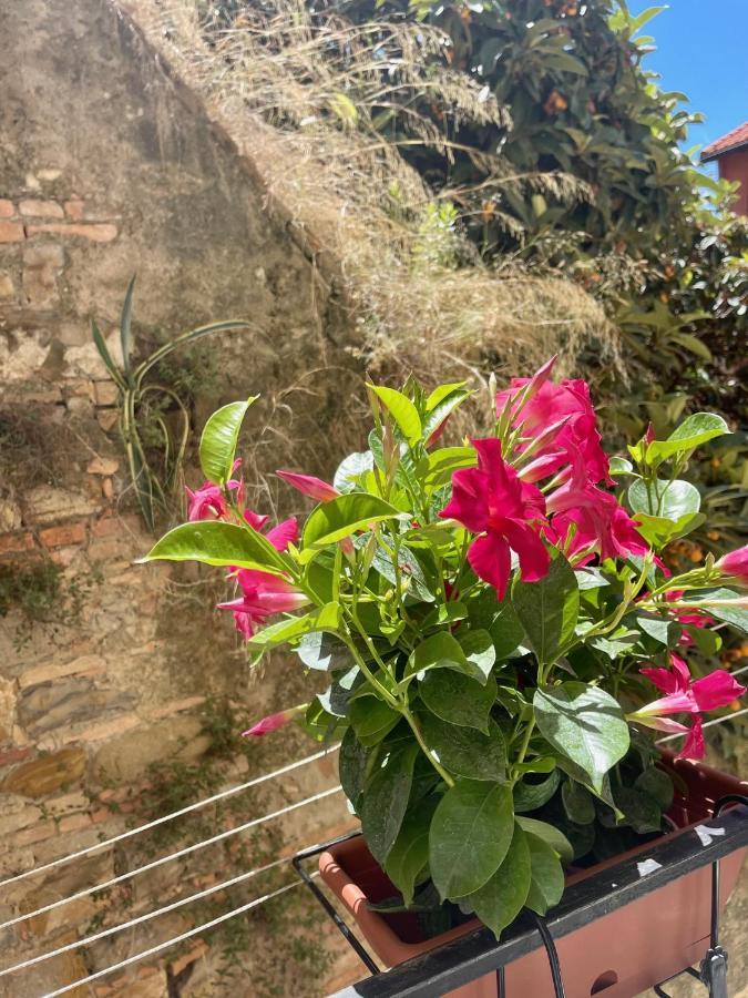 Apartment Pigna Tommy House